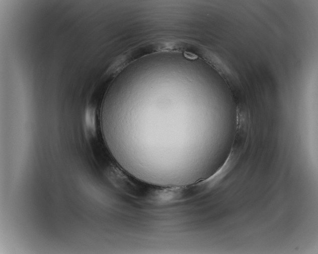 X0000114220094200910161316