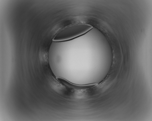 X0000114220096200910161316