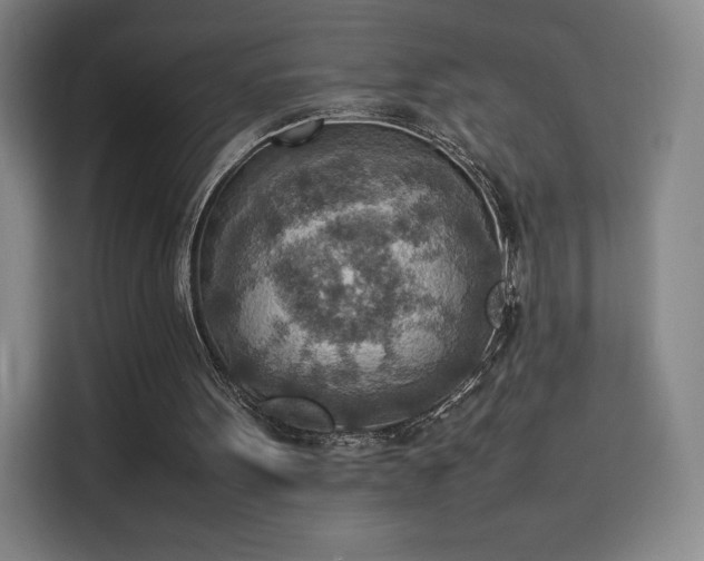 X0000114220099200910161315