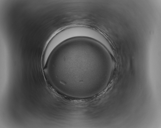 X0000114220100200910161315