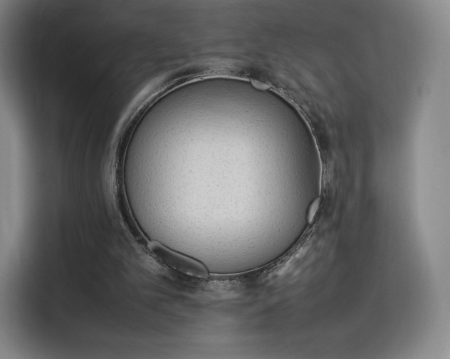 X0000114220101200910161315