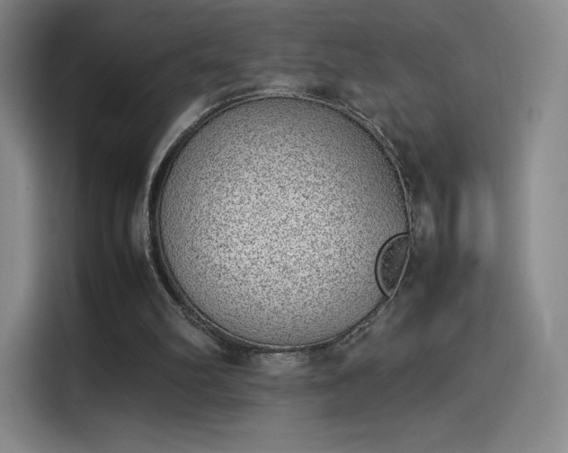 X0000114220102200910161315