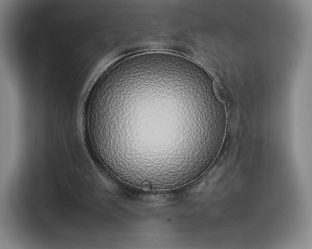 X0000114220103200910161315