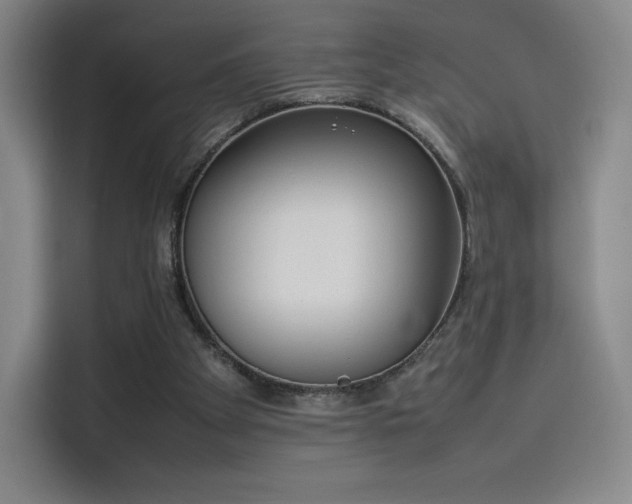 X0000114220105200910161315