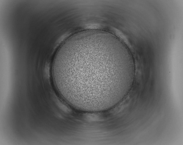 X0000114220106200910161315