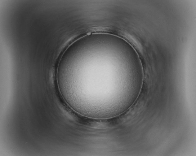 X0000114220107200910161315