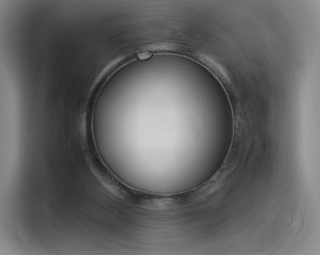 X0000114220108200910161315