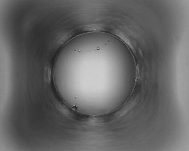 X0000114220109200910161315