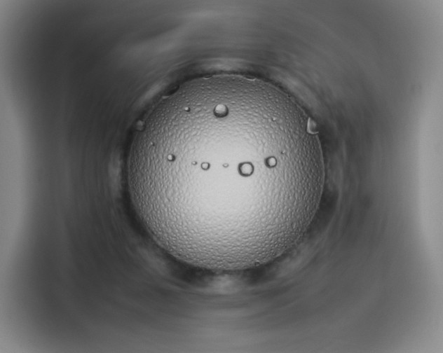 X0000114220111200910161315