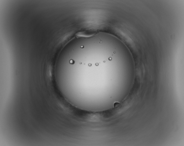 X0000114220115200910161315