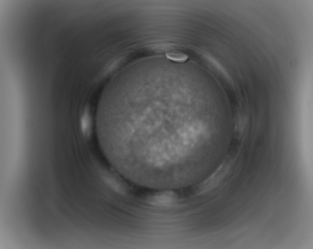 X0000114220124200910161315