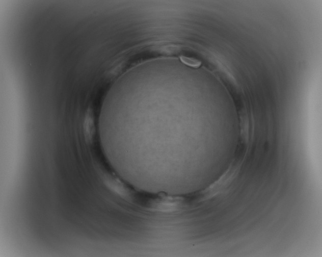 X0000114220128200910161315