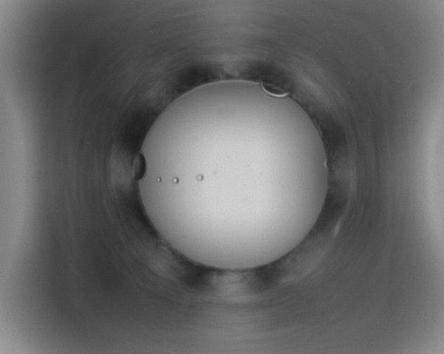 X0000114220129200910161315