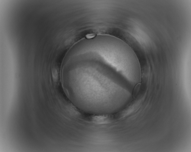 X0000114220139200910161315