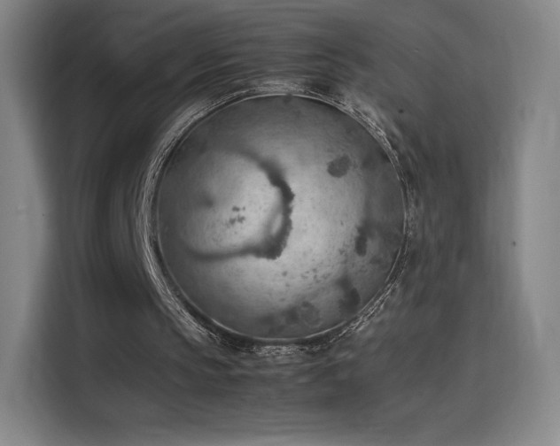 X0000114220145200910161314