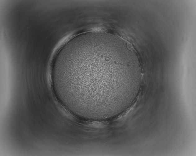 X0000114220149200910161314