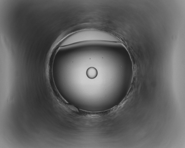 X0000114220150200910161314