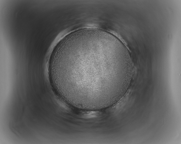 X0000114220151200910161314