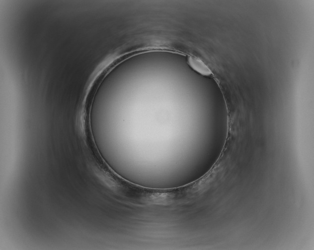 X0000114220152200910161314