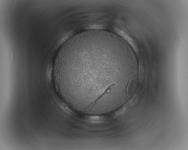 X0000114220153200910161314