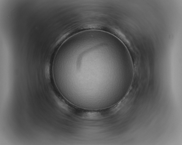 X0000114220154200910161314