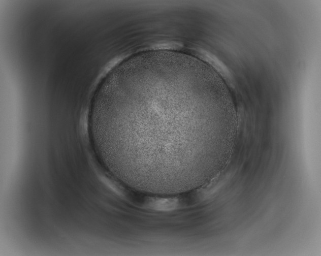 X0000114220155200910161314