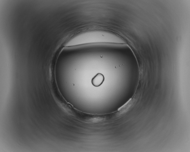 X0000114220158200910161314