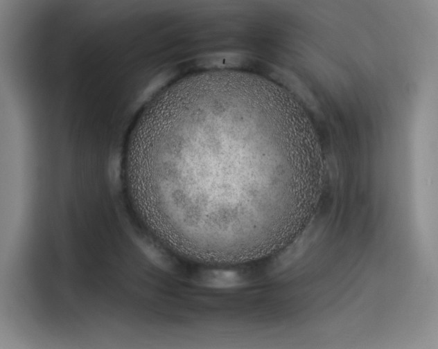 X0000114220159200910161314