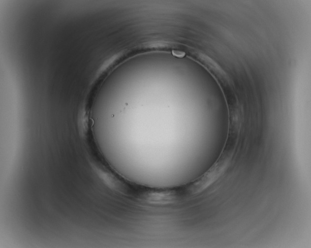 X0000114220160200910161314