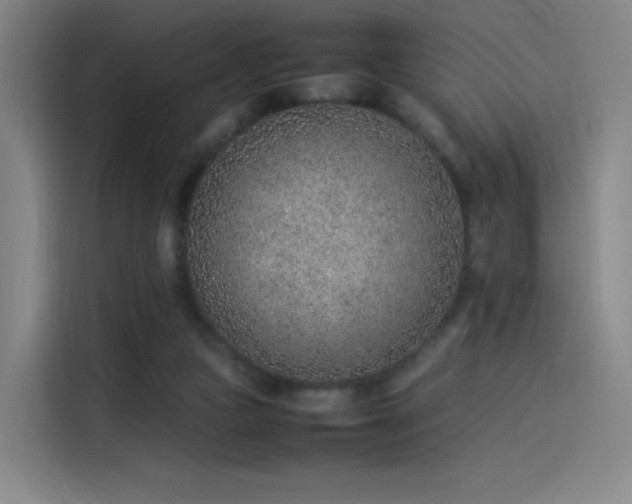 X0000114220161200910161314