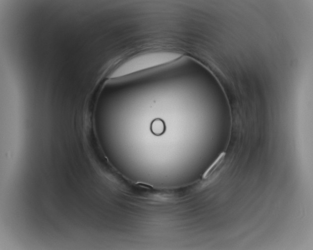 X0000114220164200910161314