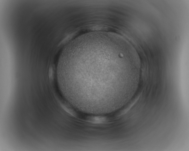 X0000114220165200910161314