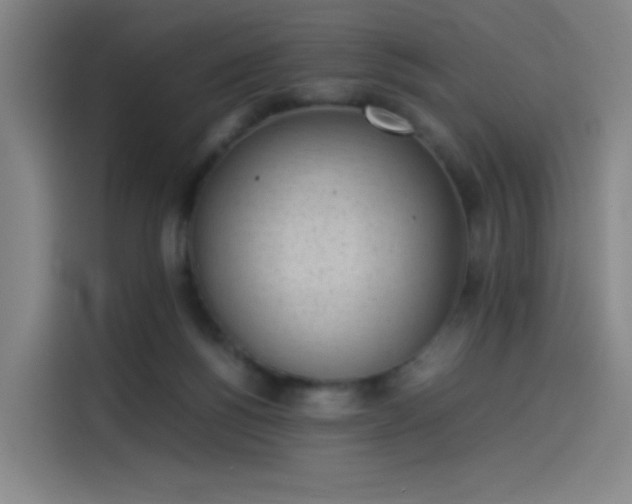 X0000114220168200910161315