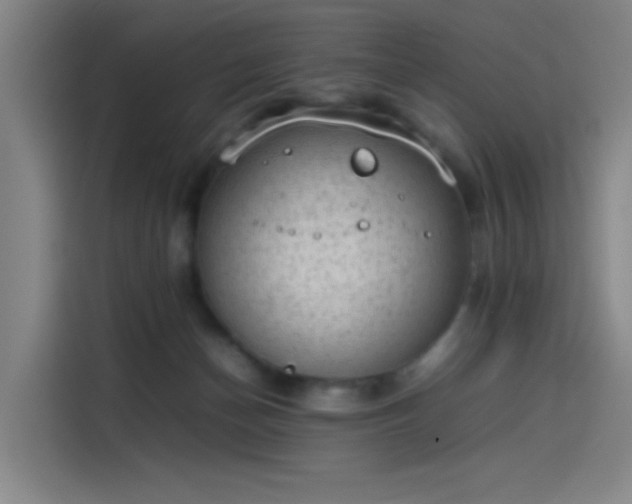 X0000114220174200910161315