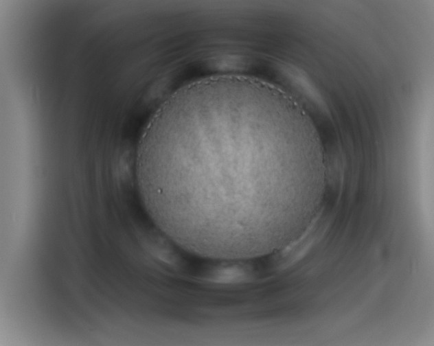 X0000114220175200910161315