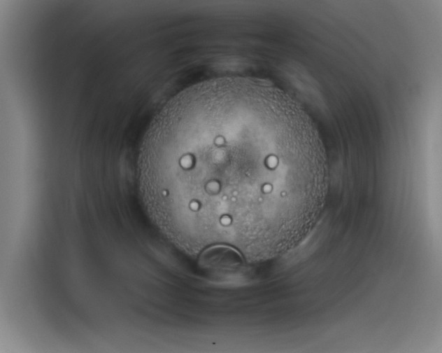 X0000114220179200910161315