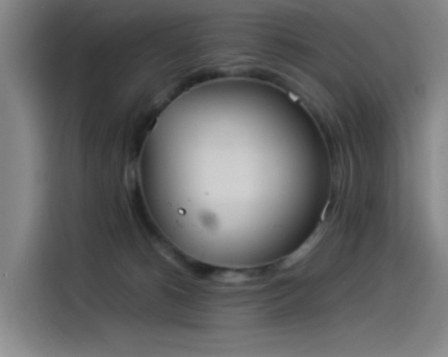 X0000114220180200910161315