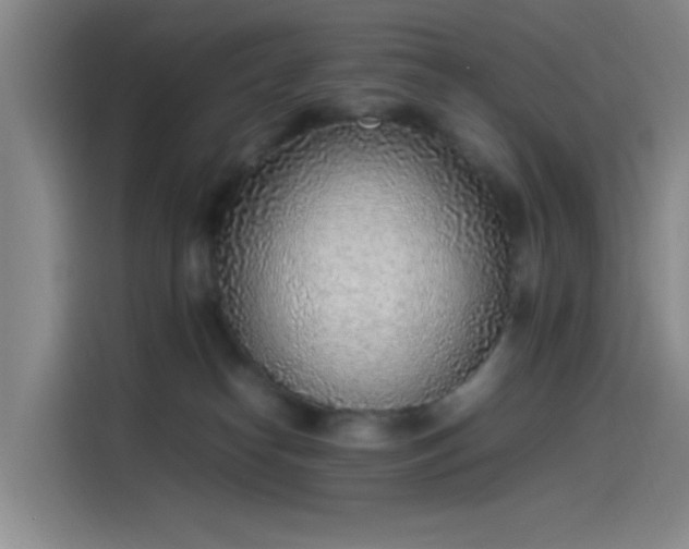 X0000114220182200910161315