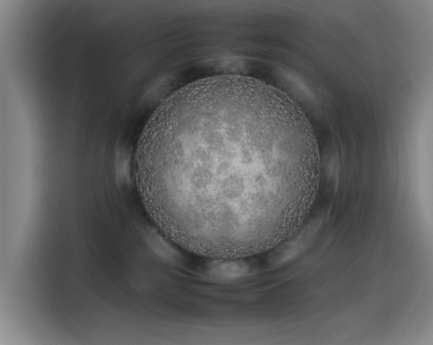 X0000114220185200910161315