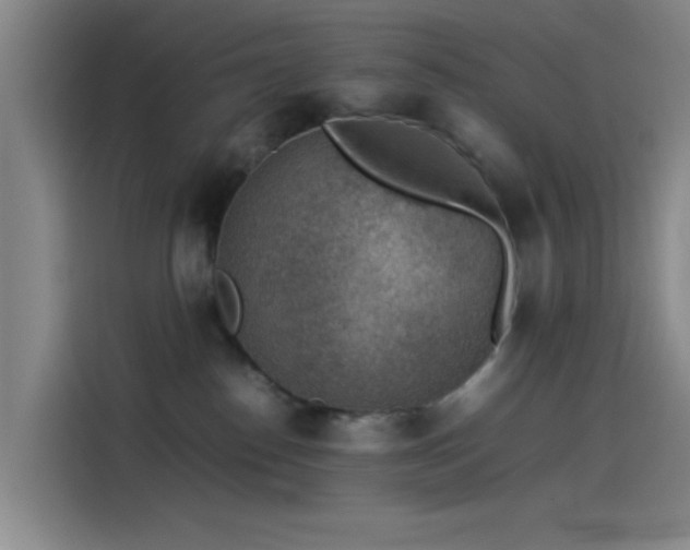 X0000114220186200910161315