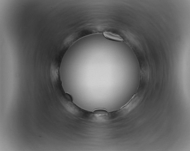 X0000114220188200910161315