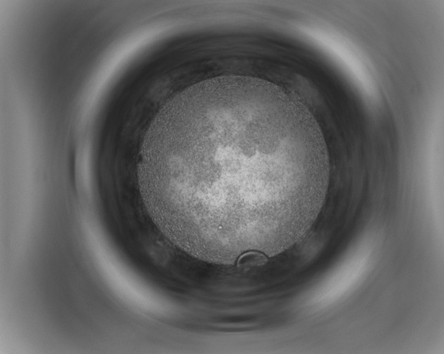 X0000114220189200910161315