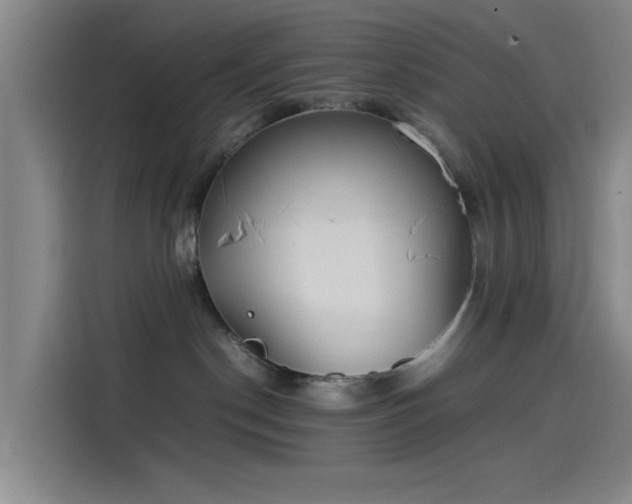 X0000114220190200910161315