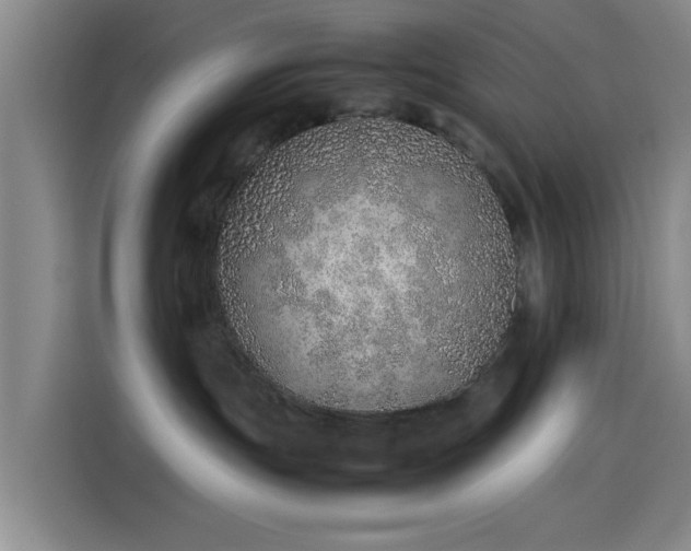 X0000114220191200910161315