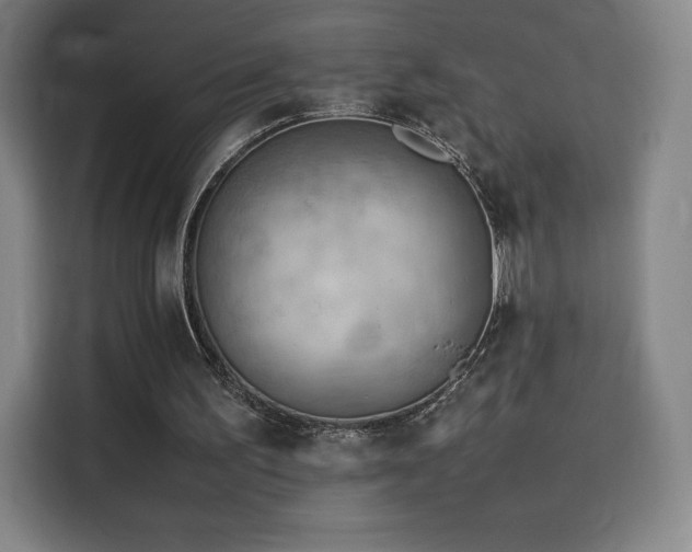 X0000114220195200910161314