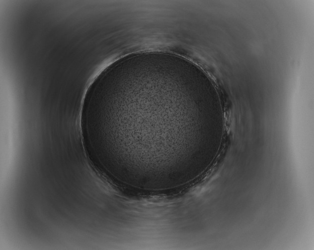 X0000114220196200910161314