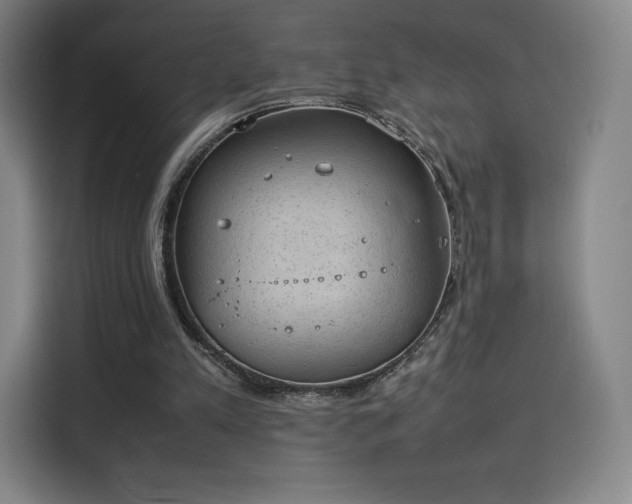 X0000114220197200910161314