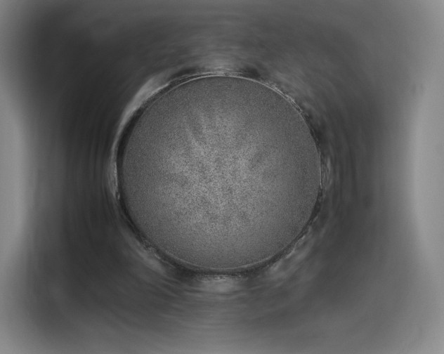 X0000114220198200910161314