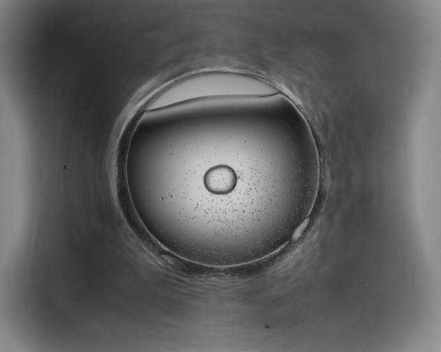 X0000114220199200910161314