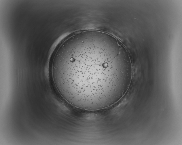 X0000114220200200910161314